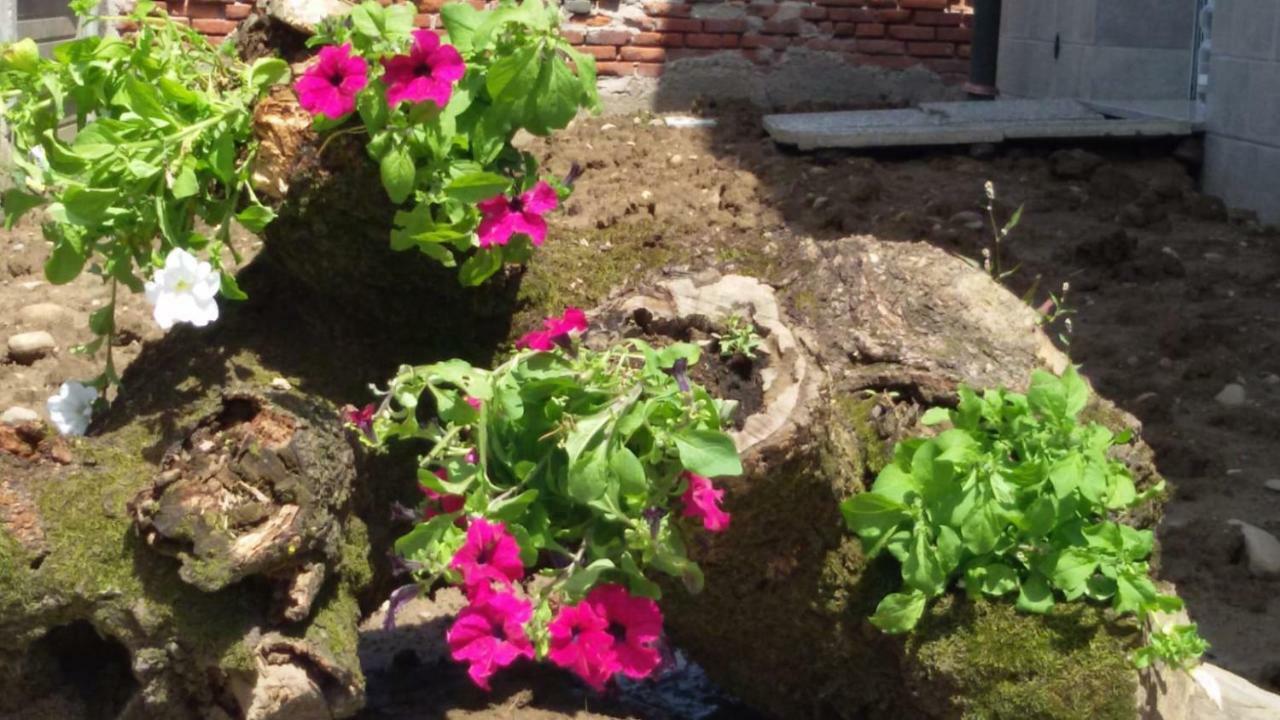 B&B Honey Rooms Saronno Bagian luar foto